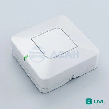 00-00056924-1 Livi RTRM.jpg