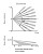 appFastViewPictureSliderItemPicture_image