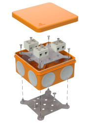                         Коробка распределительная (60-0300-FR10.0-6)
						