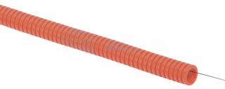                         CTG21-32-K09-025
						