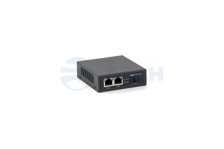                         SKAT PoE-2G-1S
						