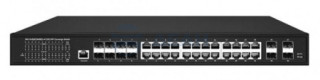                         NS-SW-16G8GH4G10-L
						