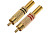 appFastViewPictureSliderItemPicture_image
