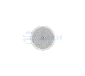 Громкоговоритель потолочный F-AA-210V  (iFLOW)