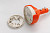 appFastViewPictureSliderItemPicture_image