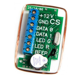                         RZ4
						