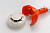 appFastViewPictureSliderItemPicture_image