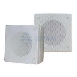 Громкоговоритель настенный SW-03 (Sonar)