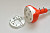 appFastViewPictureSliderItemPicture_image